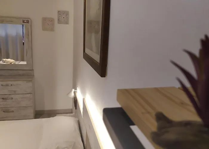 Dinamo Evoo تيرانا