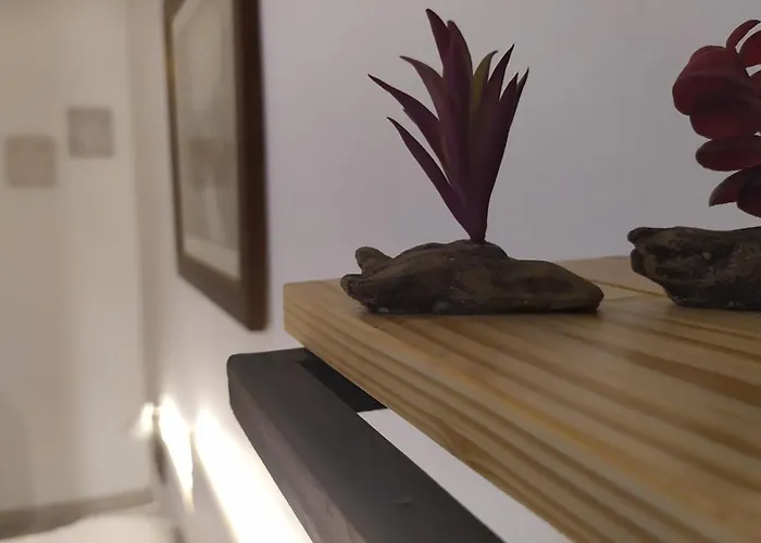 Dinamo Evoo Appartamento Tirana