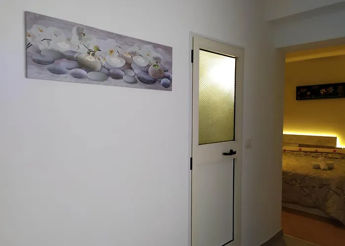 Dinamo Evoo Appartamento